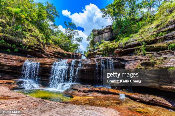 caño cristales, river of five colors - caño cristales river stock pictures, royalty-free photos & images