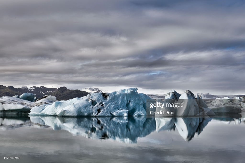 Icebergs floating  in the Jokulsalon glacier lagoon in Iceland