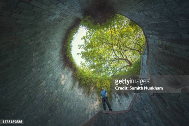 people standing under giant tree at spiral staircase of underground in tunnel crossing of road at fort canning park, singapore - fort canning stock pictures, royalty-free photos & images