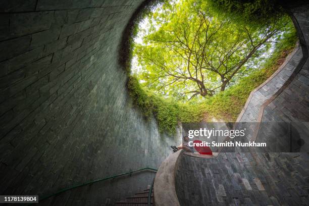 woman siting on the handrail under giant tree with red umbrella at spiral staircase of underground in tunnel crossing of road at fort canning park, singapore - fort canning stock pictures, royalty-free photos & images