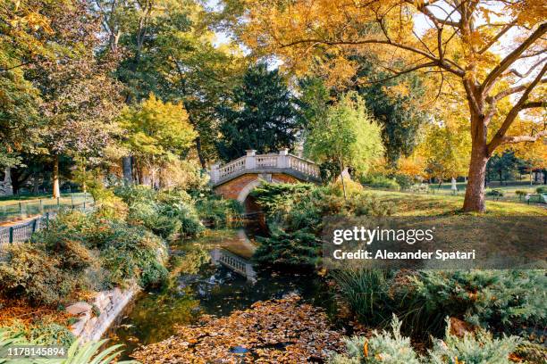 autumn colors in parc monceau, paris, france - ile de france parc monceau stock pictures, royalty-free photos & images