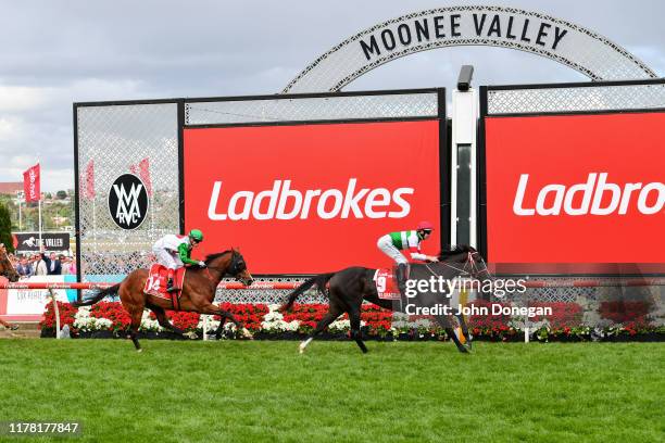 Lys Gracieux ridden by Damian Lane wins the Ladbrokes Cox Plate ,at Moonee Valley Racecourse on October 26, 2019 in Moonee Ponds, Australia.