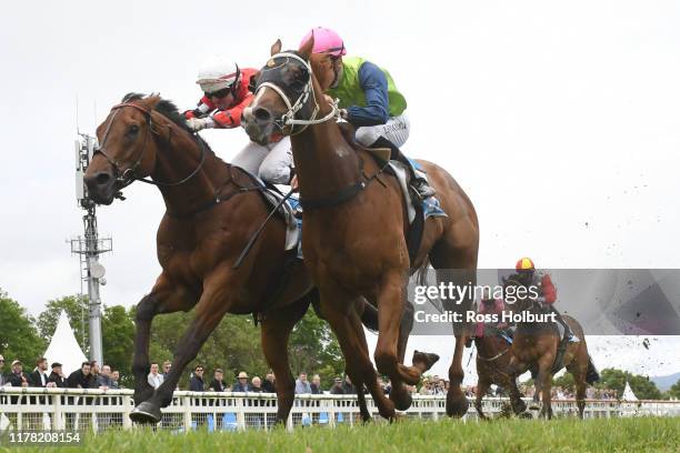 Testino ridden by Thomas Stockdale wins the bet365 Odds Drift Protector BM64 Handicap at Yarra Valley Racecourse on October 26, 2019 in Yarra Glen,...