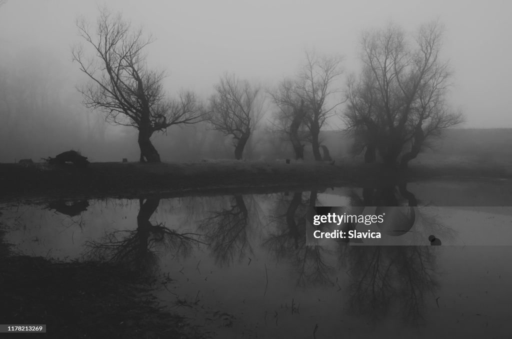 Donker spookachtig landschap