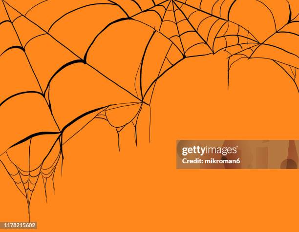 halloween illustration of cob webs - teia de aranha imagens e fotografias de stock