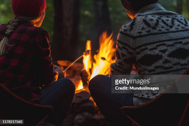 una pareja asó malvaviscos juntos - winter fire fotografías e imágenes de stock