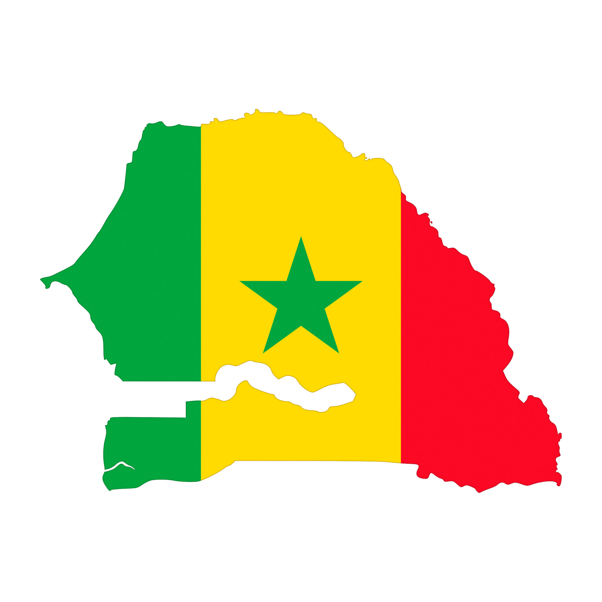 IT consultants Senegal