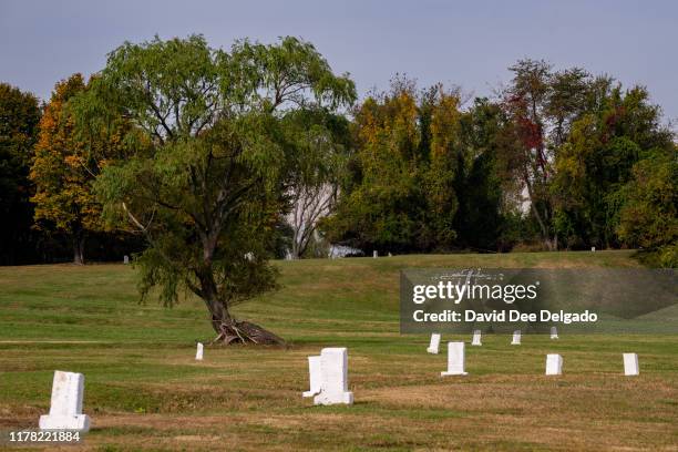 Grave site markers indicating plots of individual lots of buried remains stand on Hart Island on October 25, 2019 in New York City. Hart Island,...