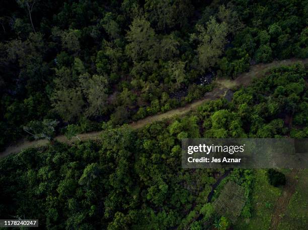 Fire roads used by loggers and miners are seen in a forest on October 18, 2019 in Narra, Palawan, Philippines. With 178 land and environmental...