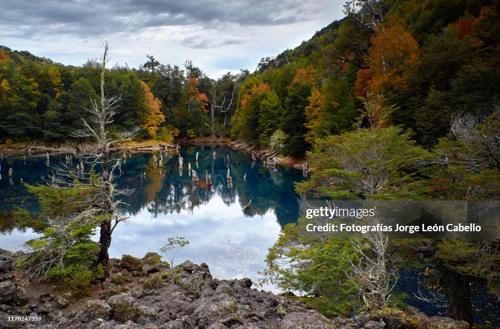 Laguna Arcoiris - Conguillio National Park
