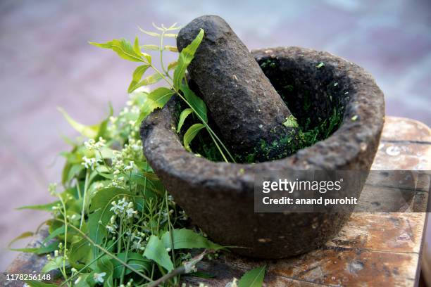neem juice - azadirachta indica - herb stock pictures, royalty-free photos & images