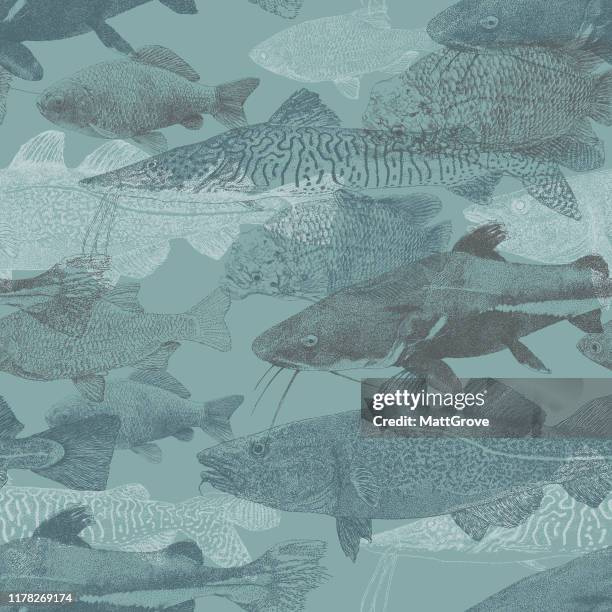 freshwater fish swimming repeat - freshwater fish stock illustrations