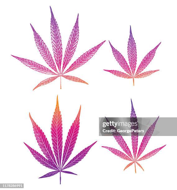 group of 4 cannabis leaves - marijuana leaf stock illustrations