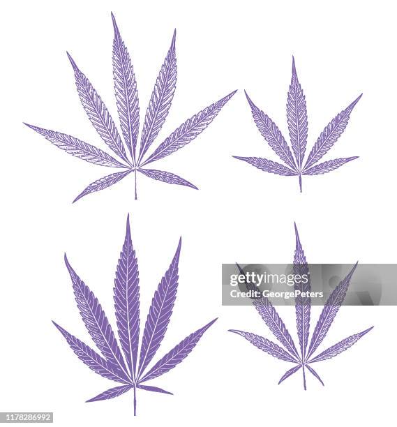 ilustraciones, imágenes clip art, dibujos animados e iconos de stock de grupo de 4 hojas de cannabis - cannabis medicinal