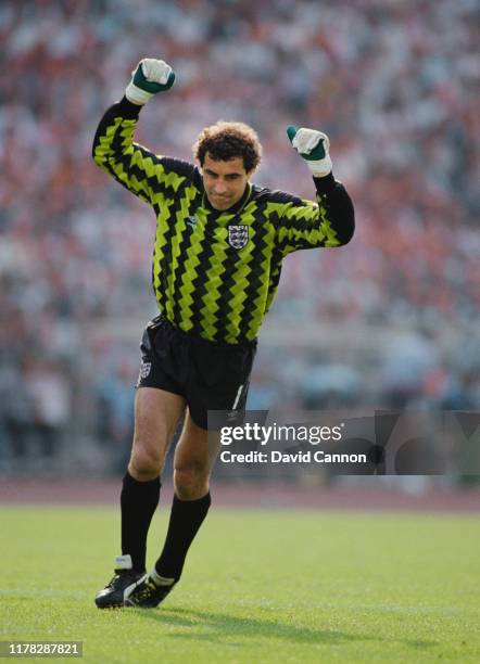 England goalkeeper Peter Shilton celebrates a goal during the 1-3 defeat to Holland during the 1988 UEFA European Championships Finals match on June...