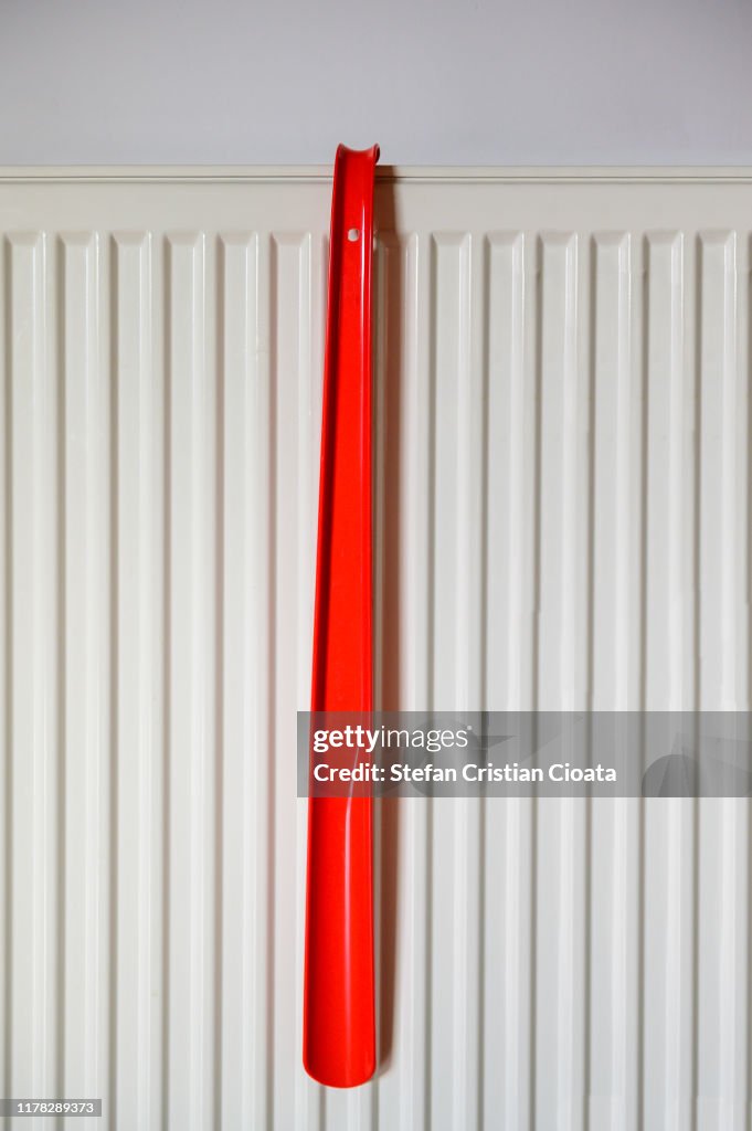 Shoehorn on white background