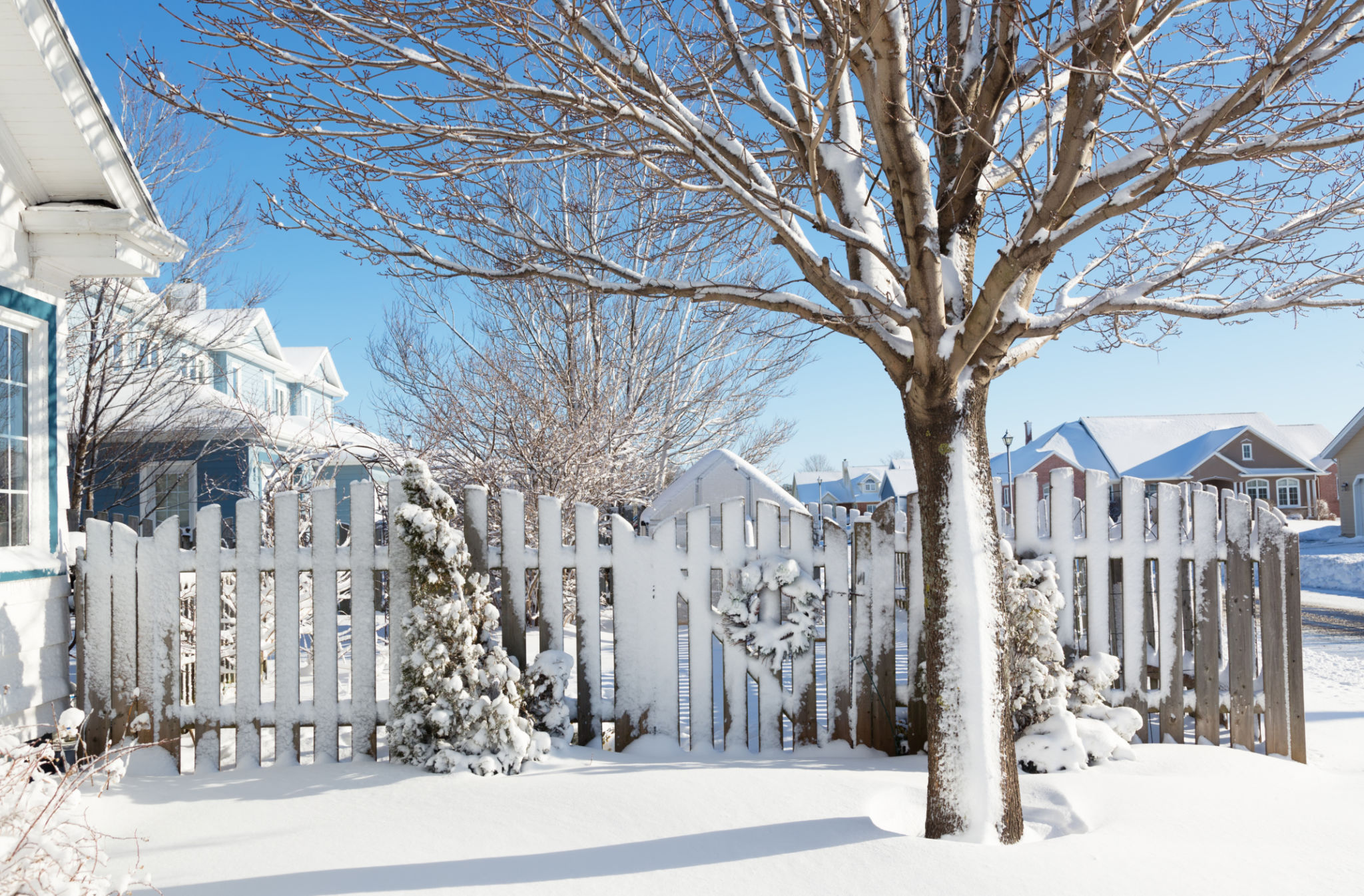 snowy gate