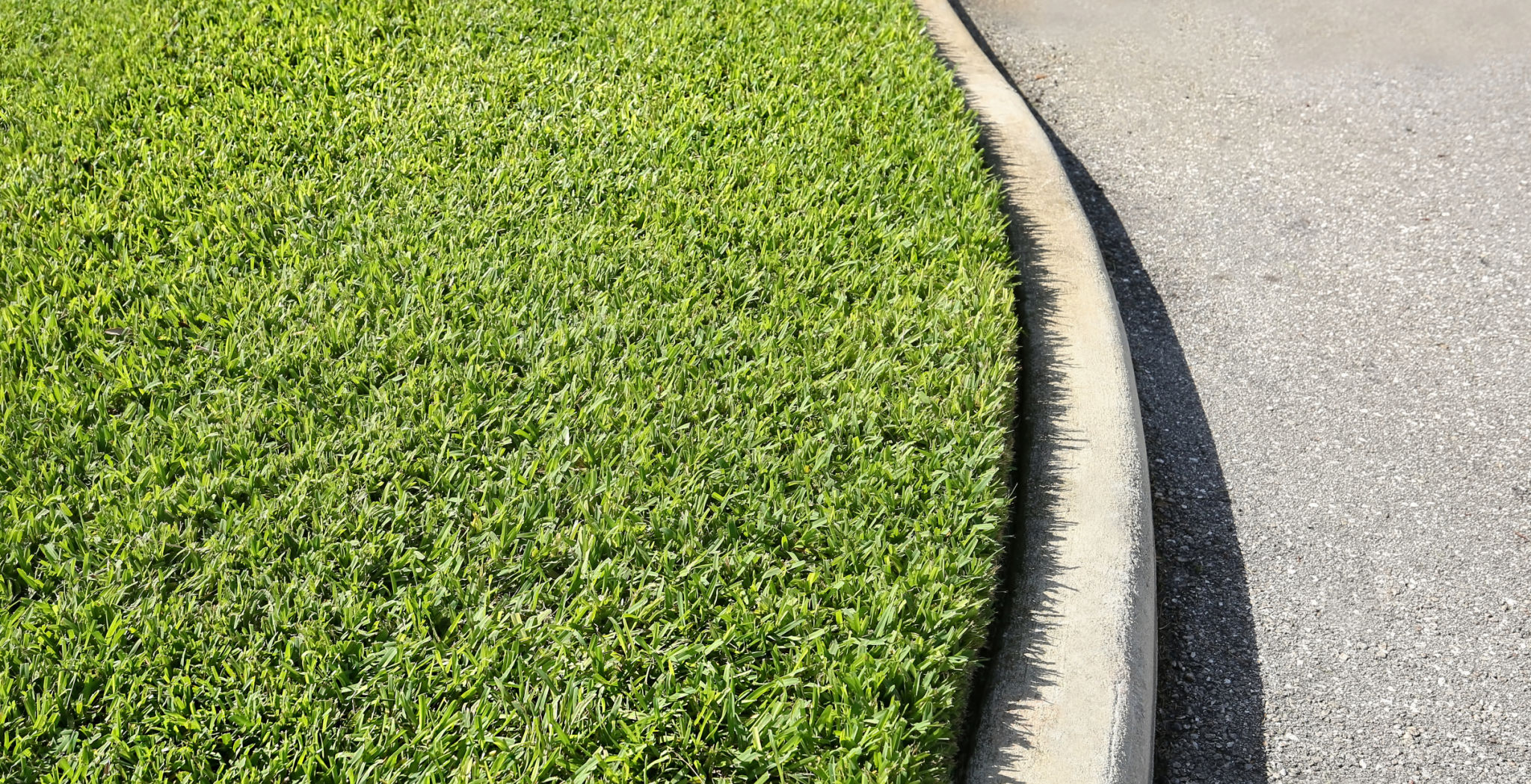 florida lawn care