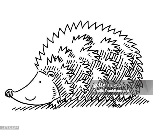 138点のhedgehog Drawingイラスト素材 Getty Images 138点のhedgehog Drawingイラスト素材 Getty Images