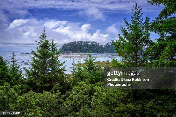 view of ozette island, the westernmost point of land in the continental united states, from the hiking trail to cape alava, olympic national park, washington state - cape alava stock pictures, royalty-free photos & images