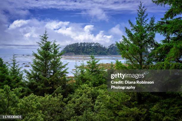 view of ozette island, the westernmost point of land in the continental united states, from the hiking trail to cape alava, olympic national park, washington state - alava stock pictures, royalty-free photos & images