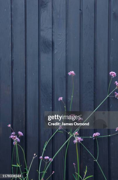 Cladding Texture Flower 739 Cladding Panels Stock Photos, High-Res Pictures, and Images - Getty ...