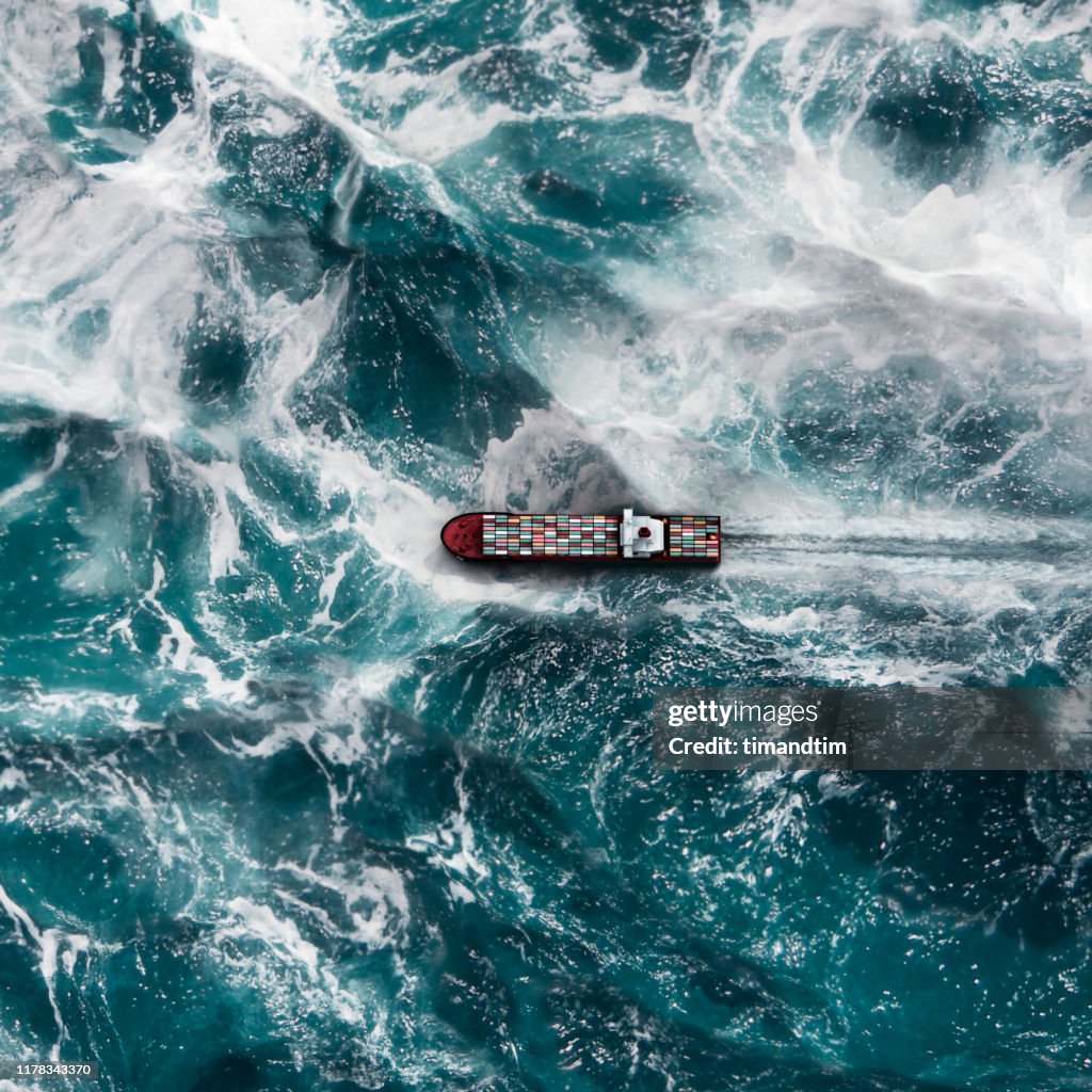 Container ship on the sea