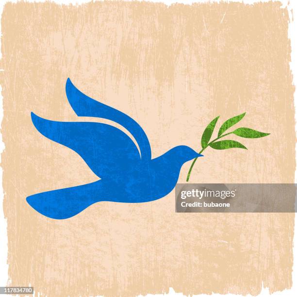 peace dove with olive branch on royalty free vector background - doves stock illustrations