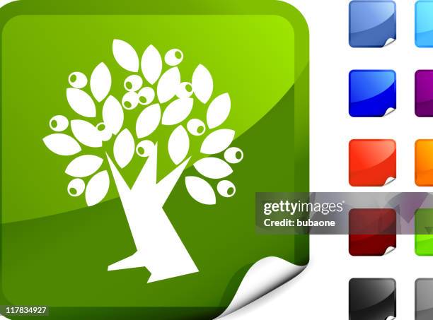 olive tree internet royalty free vector art - olive tree white background stock illustrations