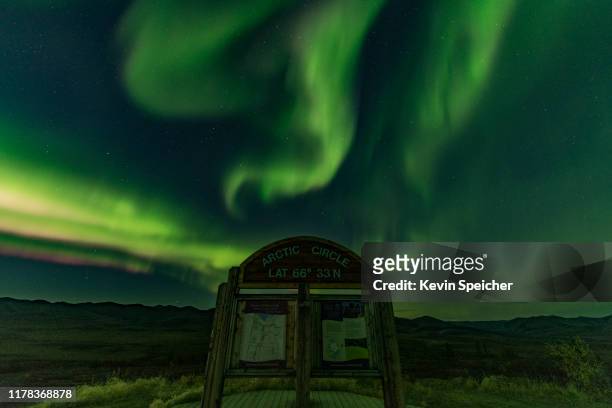 canadian yukon aurora borealis northern lights - northern lights michigan bildbanksfoton och bilder