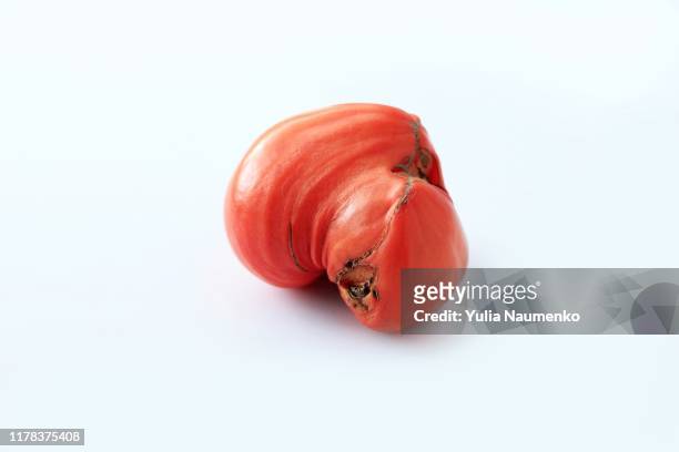 trendy ugly organic produce. one red tomato isolated on white background.image with copy space. - ugliness stock pictures, royalty-free photos & images