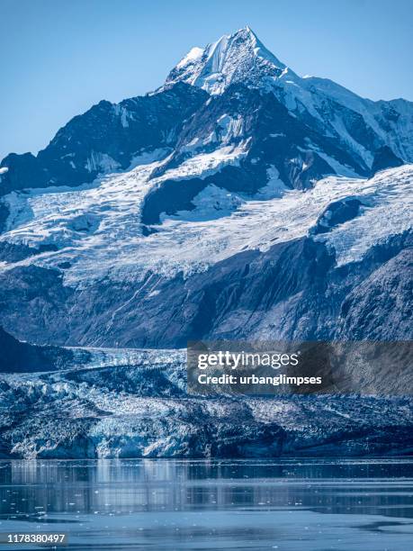 johns hopkins glacier im glacier bay nationalpark, alaska - moräne stock-fotos und bilder