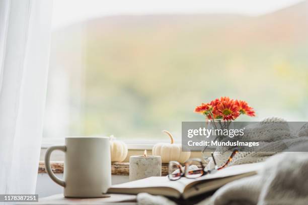 eine gemütliche leseecke im herbst mit decke und kaffee - window flowers stock-fotos und bilder