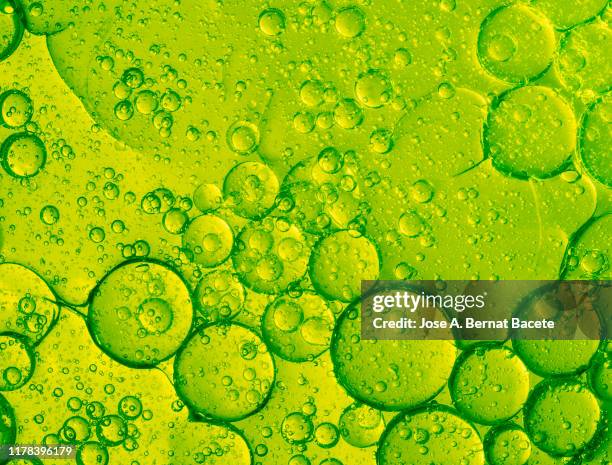 full frame of abstract shapes and textures, formed of bubbles and drops on a green liquid background. - toxic substance stock-fotos und bilder