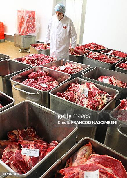 An employee works on June 16 on the frozen ground beef production line at at the French company SEB in Saint-Dizier, eastern France. Six children are...