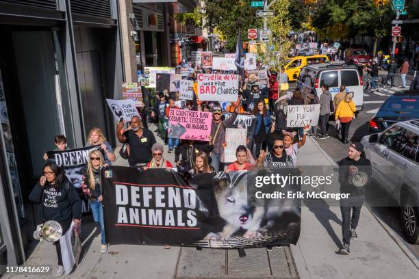 Animal rights activists holding banners as they march through the streets of New York. Hundreds of Animal Liberation activists targeted the fur trade...