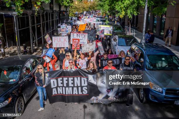 Animal rights activists holding banners as they march through the streets of New York. Hundreds of Animal Liberation activists targeted the fur trade...