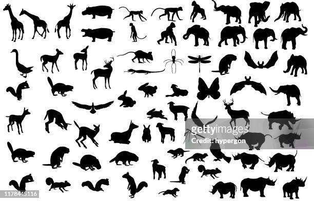 illustrazioni stock, clip art, cartoni animati e icone di tendenza di collezione di grandi dimensioni per la silhouette animale - animale
