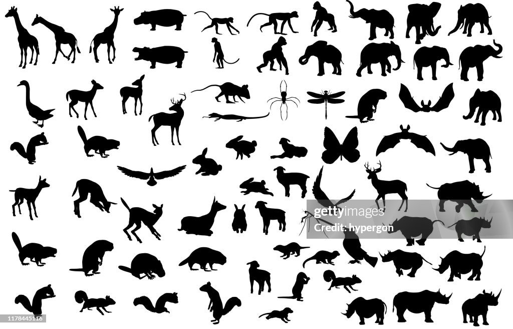 Large Animal Silhouette Collection