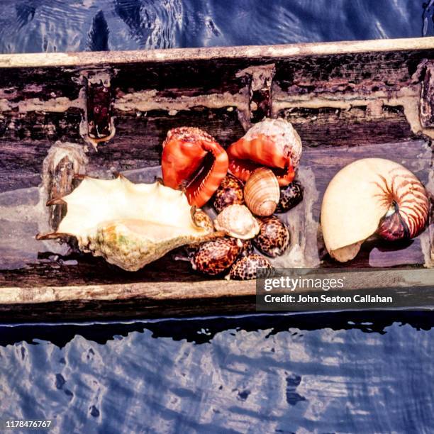 Shell Canoe 66 Indonesia Mentawai Canoe Stock Photos, High-Res Pictures, and Images ...