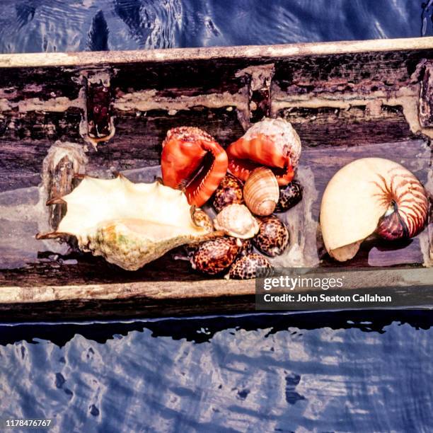 indonesia, shells in the mentawai islands - indonesia mentawai canoe stock pictures, royalty-free photos & images