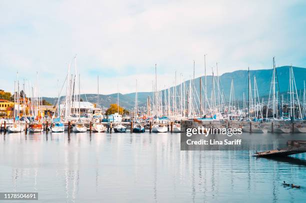 hobart, tasmania - april 02, 2012: yachts moored in hobart marina on a blue sky day. - hobart tasmania - fotografias e filmes do acervo