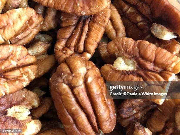 pecans - pecan stock pictures, royalty-free photos & images