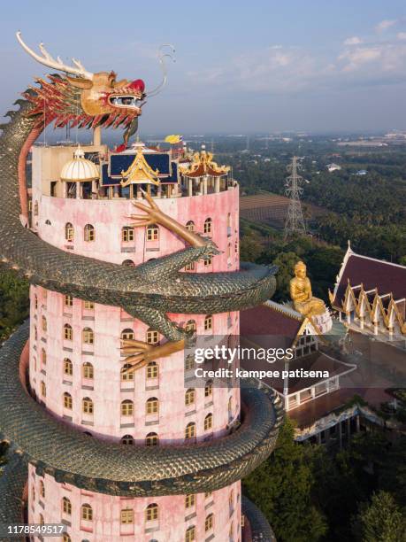 wat samphran, dragon temple in the sam phran district in nakhon pathom province near bangkok, thailand. - wat samphran stock-fotos und bilder