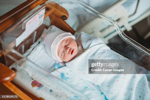 newborn baby girl sleeps in incubator in hospital room - baby delivery photos et images de collection