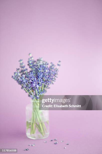 bunch of lavender blossoms in little glas vase - bud vase stock pictures, royalty-free photos & images