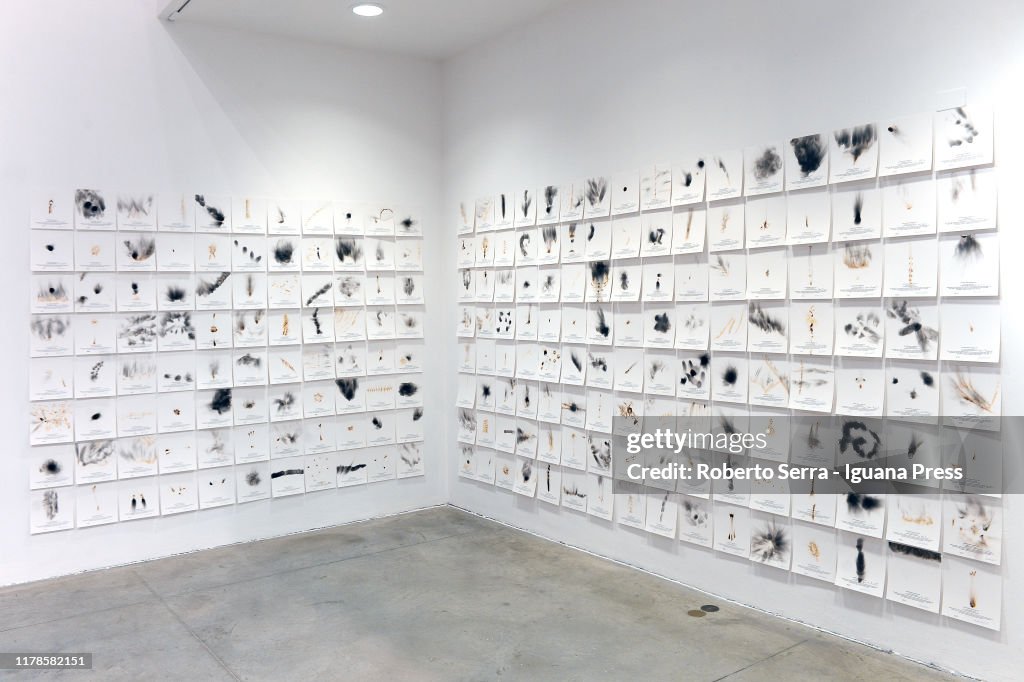 Cesare Pietroiusti Exhibition Preview