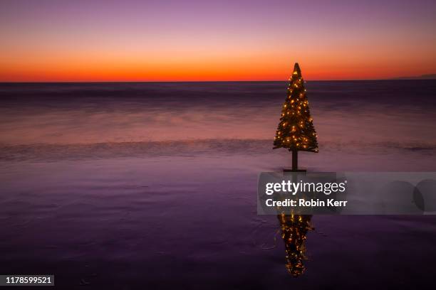 driftwood christmas tree at the beach for sunset - summer christmas stock pictures, royalty-free photos & images