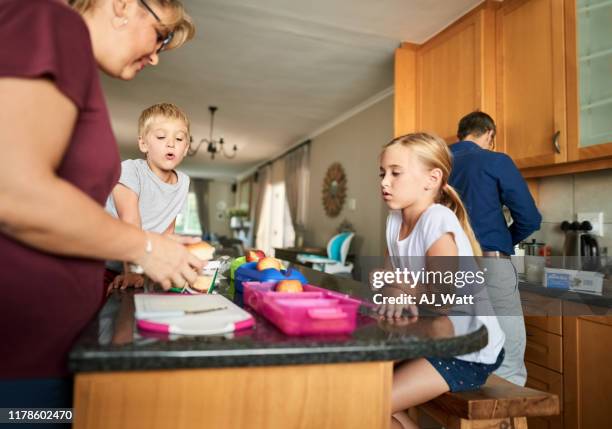 she is preparing lunch boxes for her kids - lunch box stock pictures, royalty-free photos & images