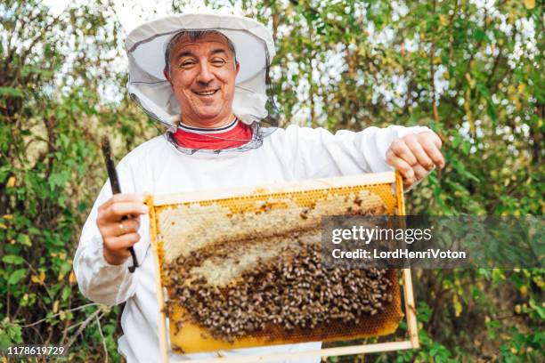 beekeeper collecting honey - beekeeper stock pictures, royalty-free photos & images